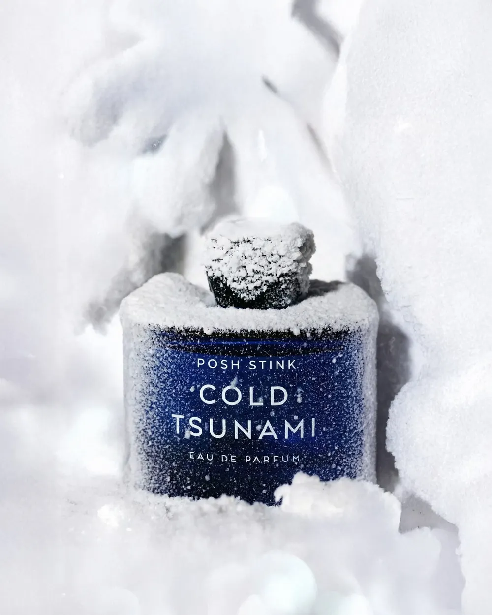 Cold Tsunami by Posh Stink: a 100 ml bottle of eau de parfum photographed in the colour of its season